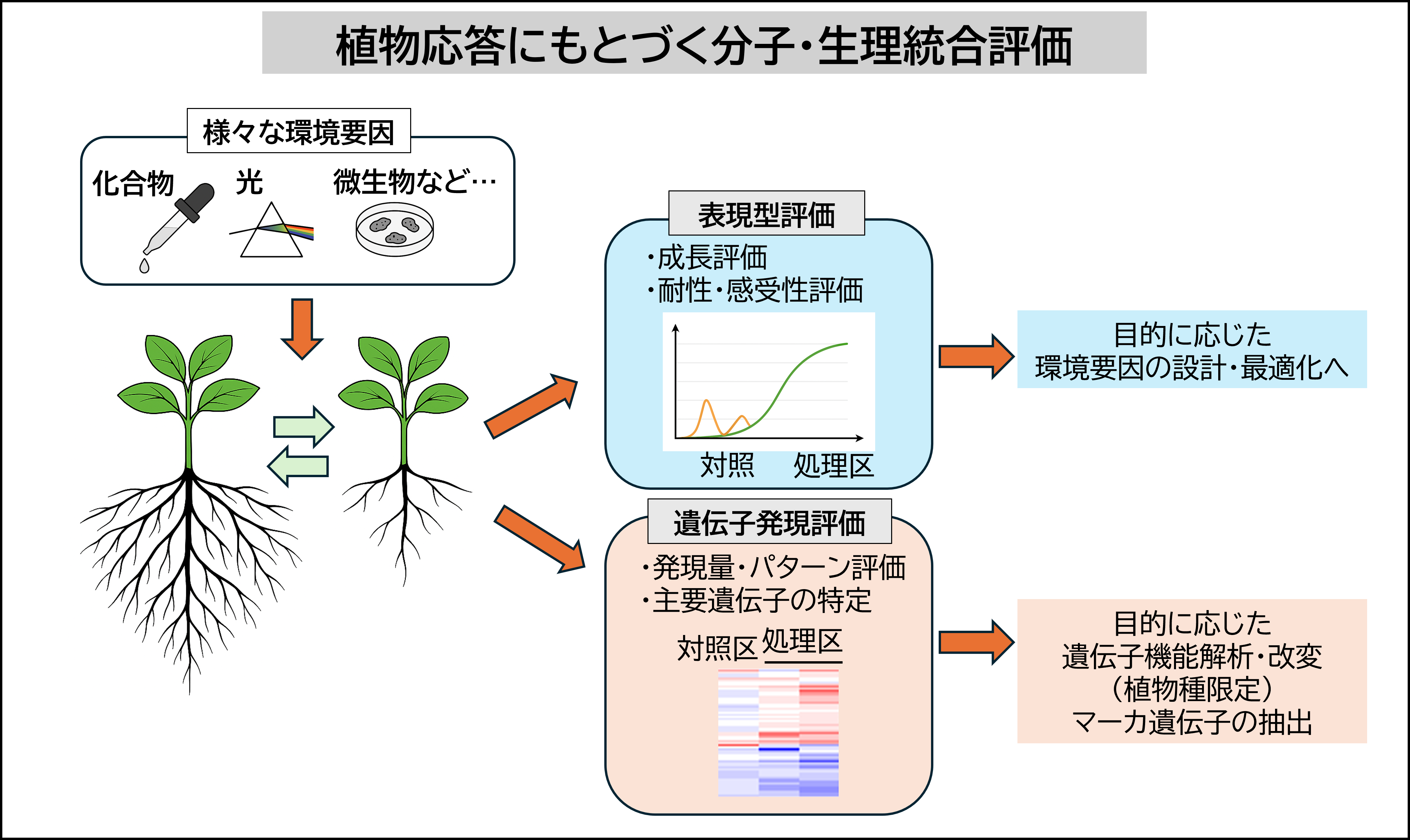 植物応答にもとづく分子・生理統合評価技術 （遺伝子発現解析と生理指標を組み合わせた植物状態評価）の図