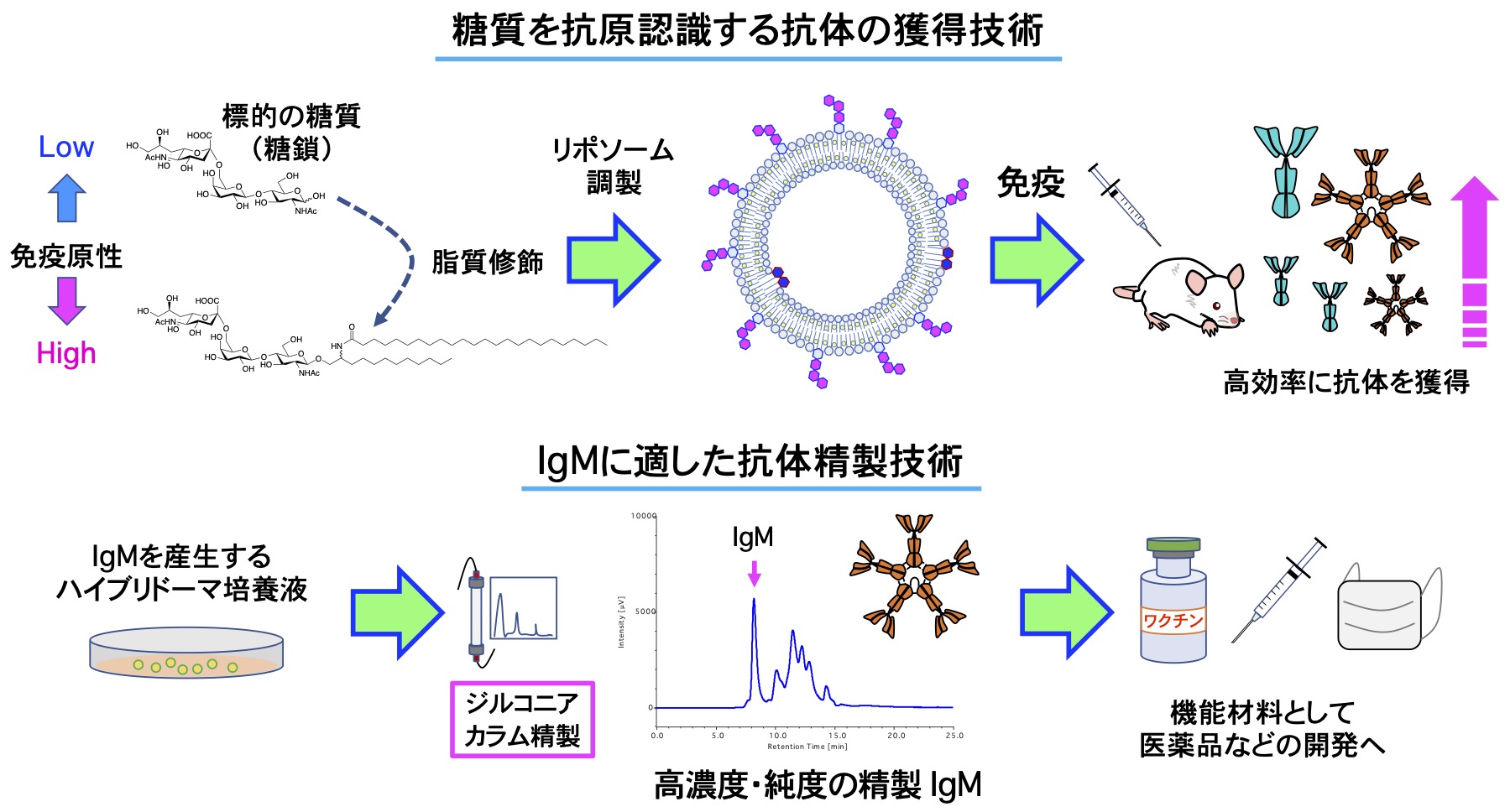 研究紹介図