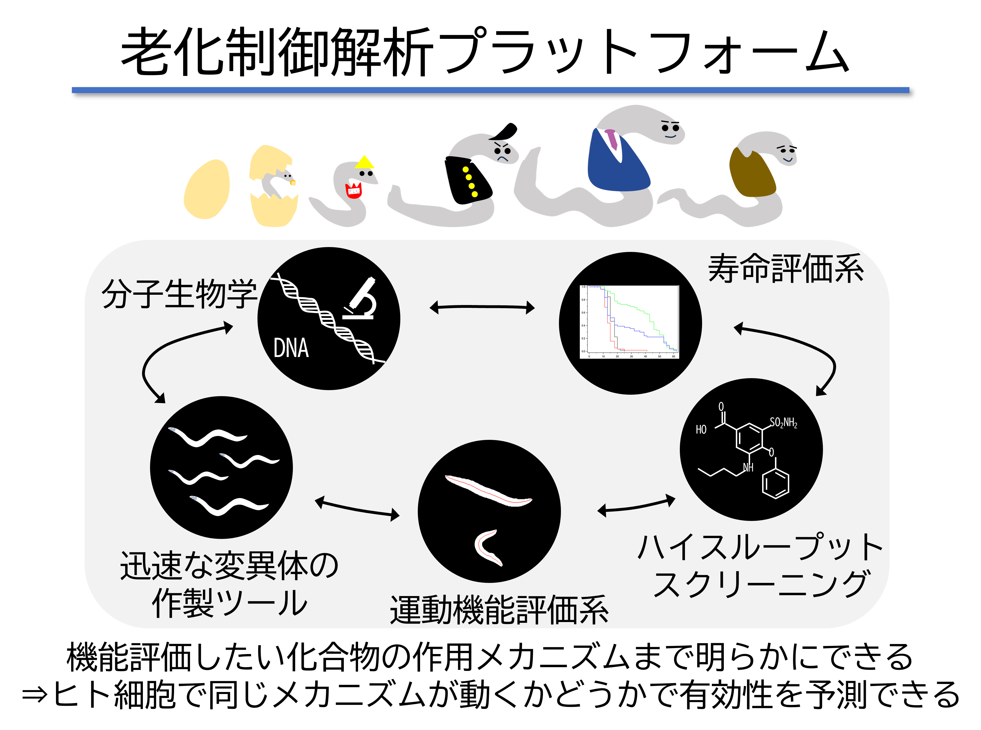 研究紹介図