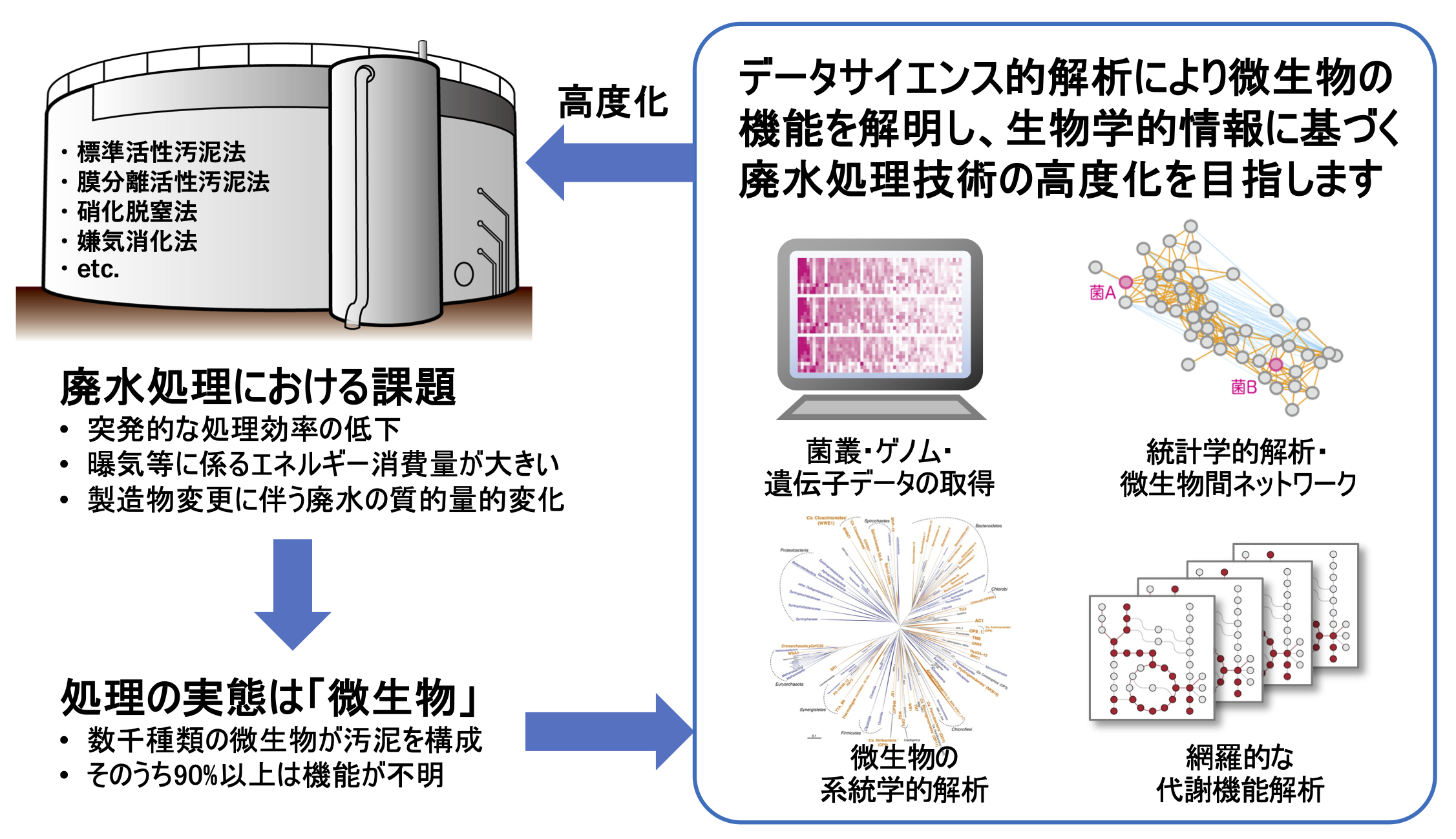 研究紹介図