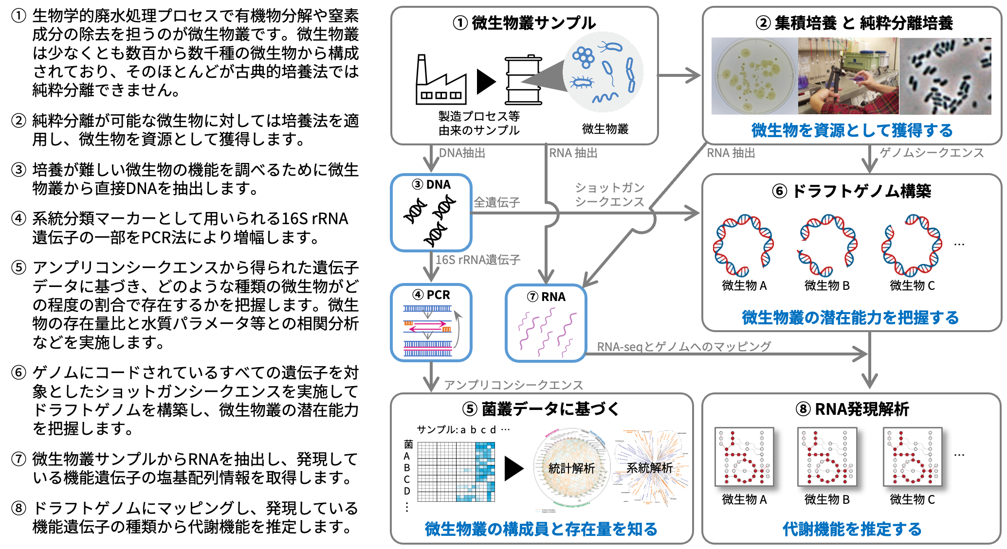 環境オミクス解析で微生物の隠れた機能が見つかるかも？の図