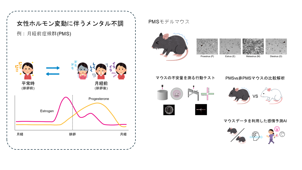 研究紹介図