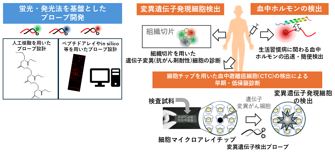 研究紹介図