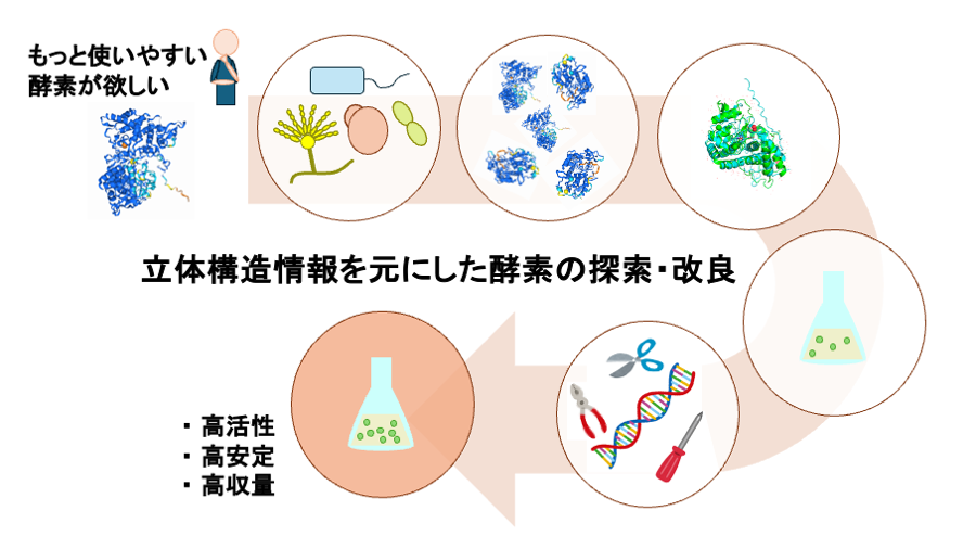 研究紹介図