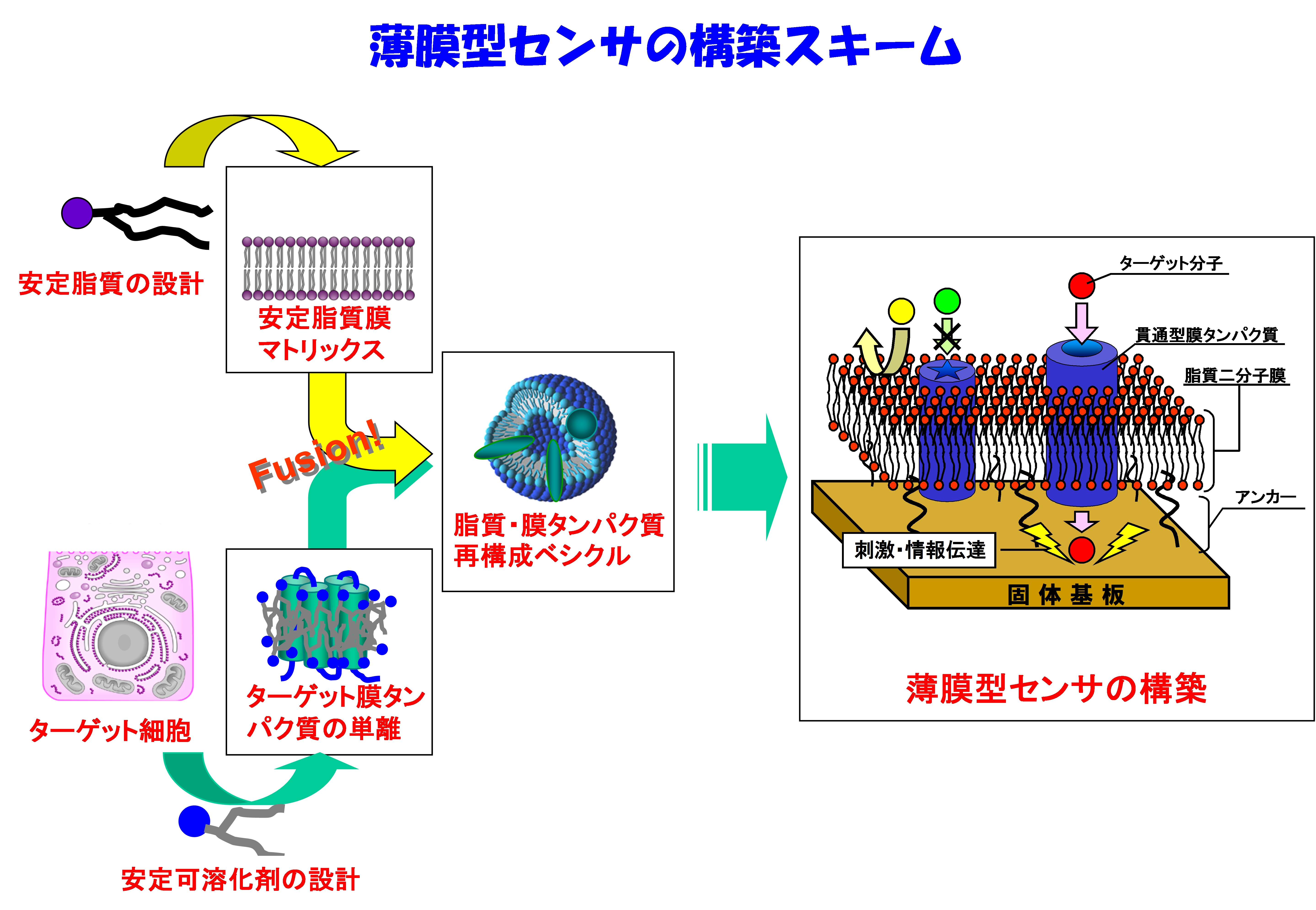 研究紹介図