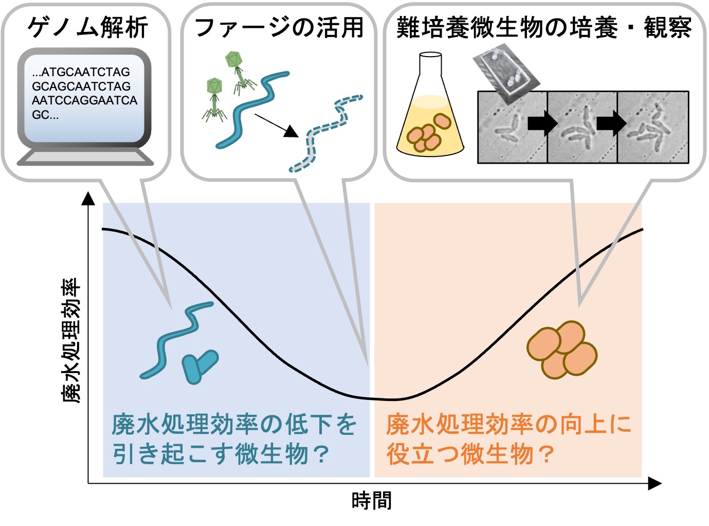 研究紹介図