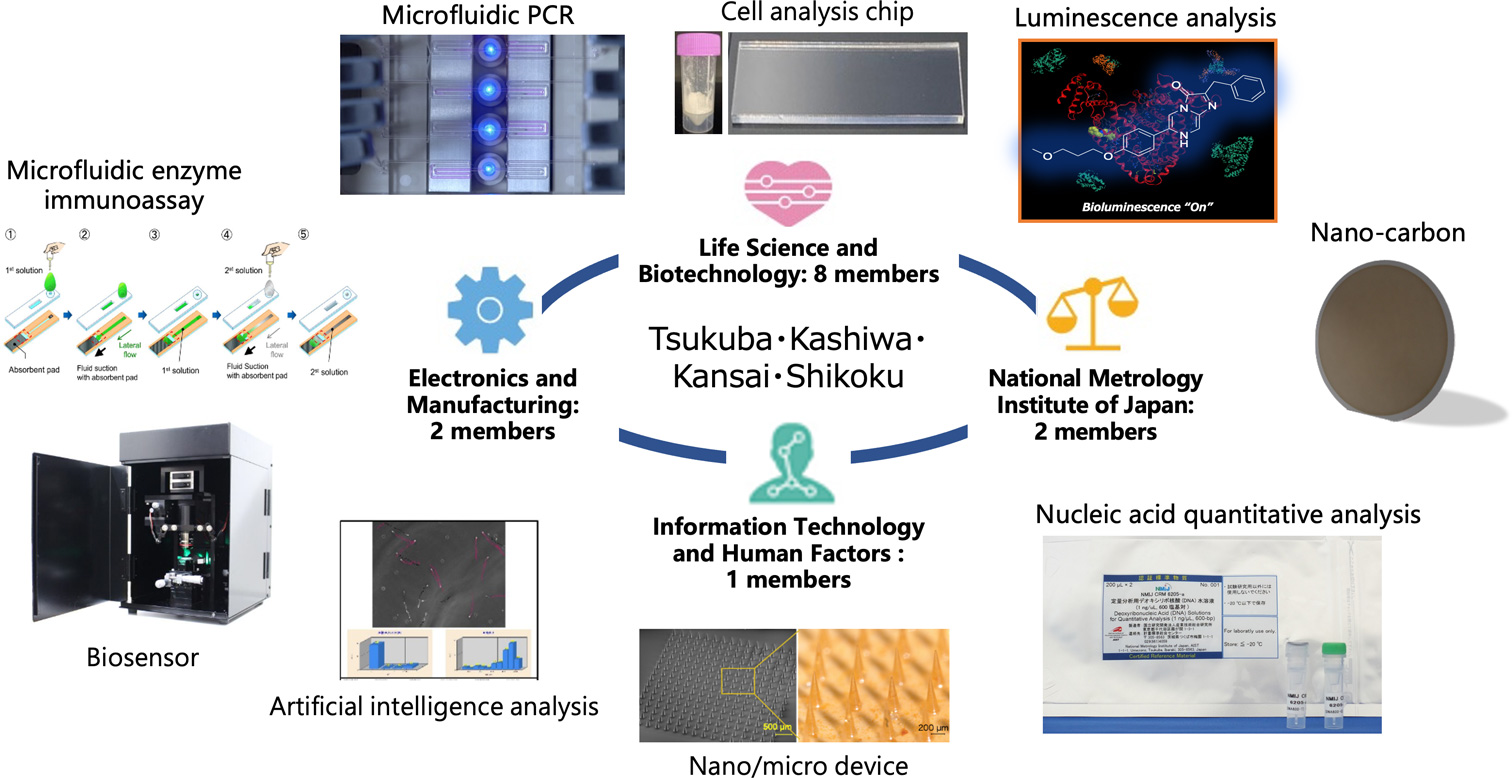 Cancer/Virus Diagnosis Technology Research Team Research outline chart