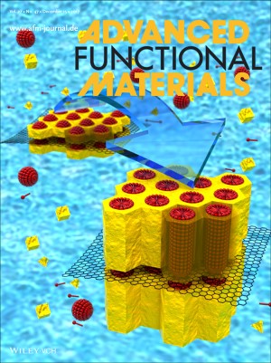 Advanced Functional Materialsの表紙