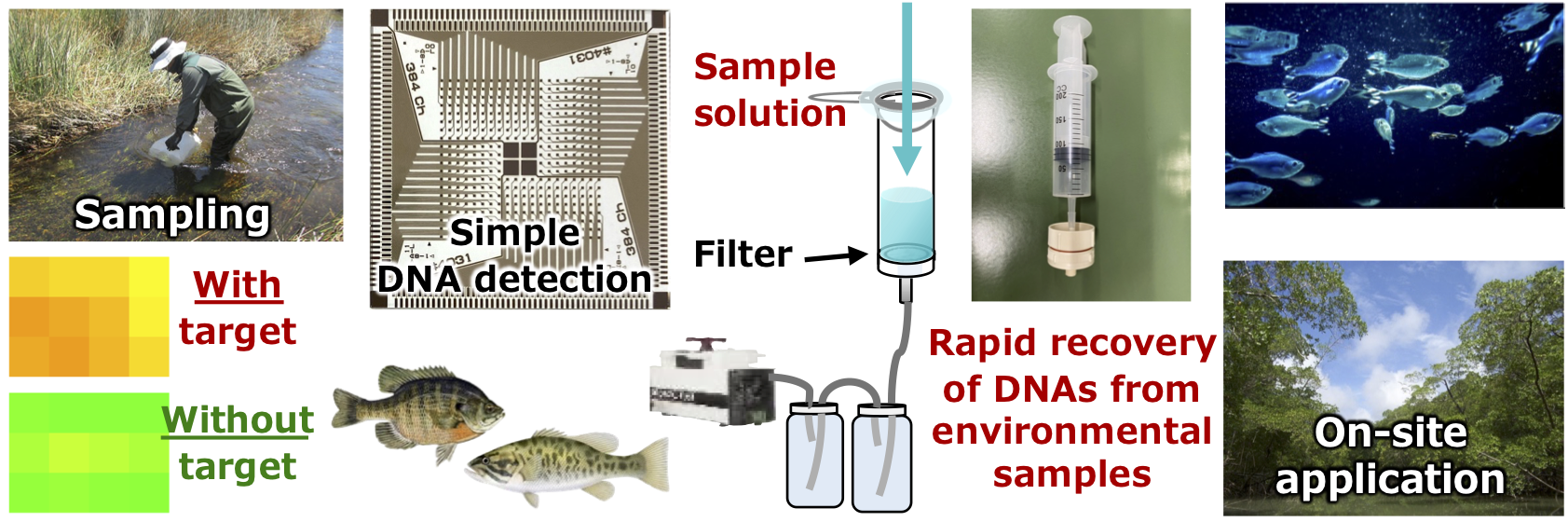 Environmental/ecological/biological evaluation technologies