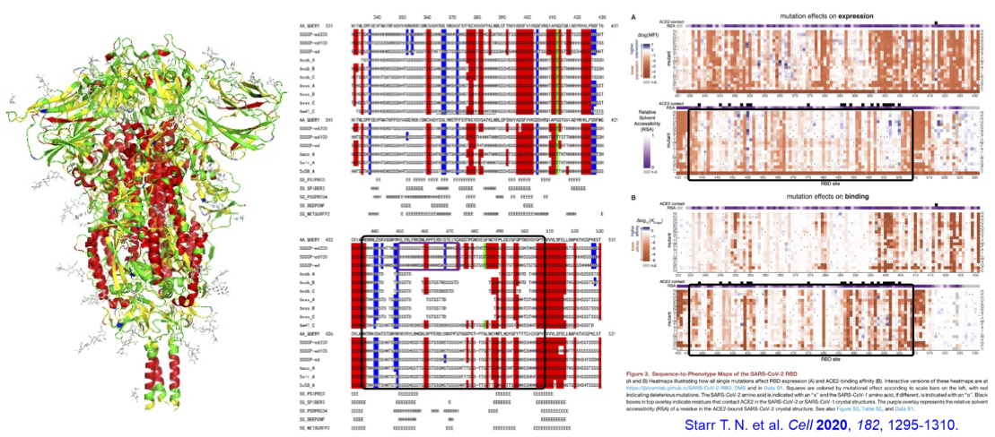 Functional organic fragment structure design program