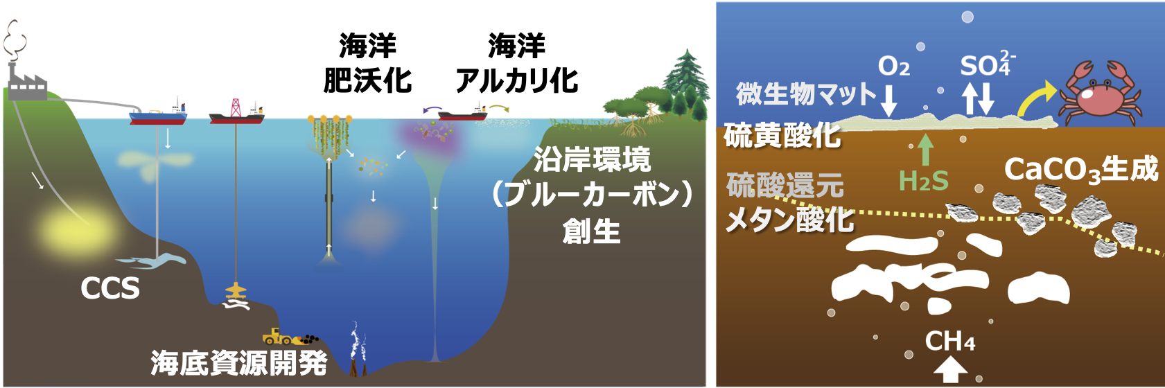 環境を保全し「創る」ための生物機能活用技術の開発