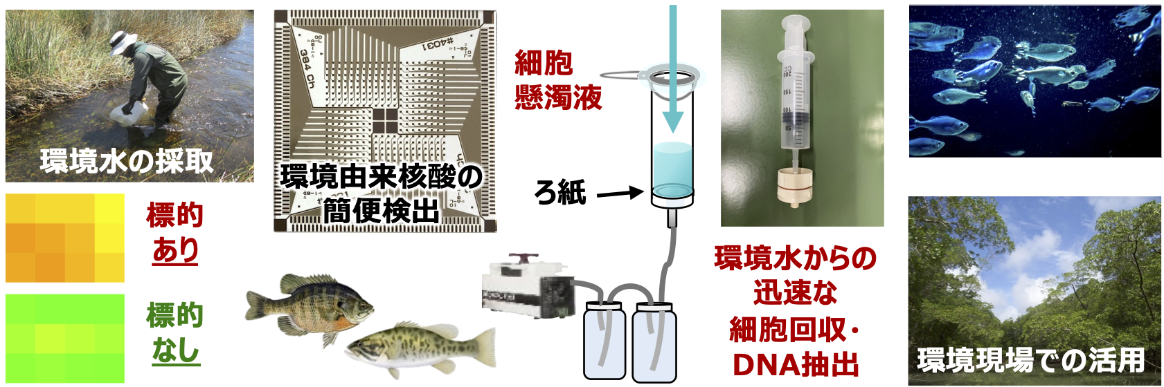 環境状態を「知る」ための生物指標分析・評価技術の開発