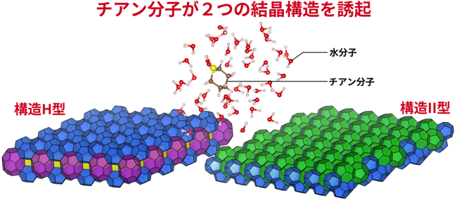 ハイドレートの水分子カゴ状構造、カゴの分子が同じでも複数の形をとることを発見