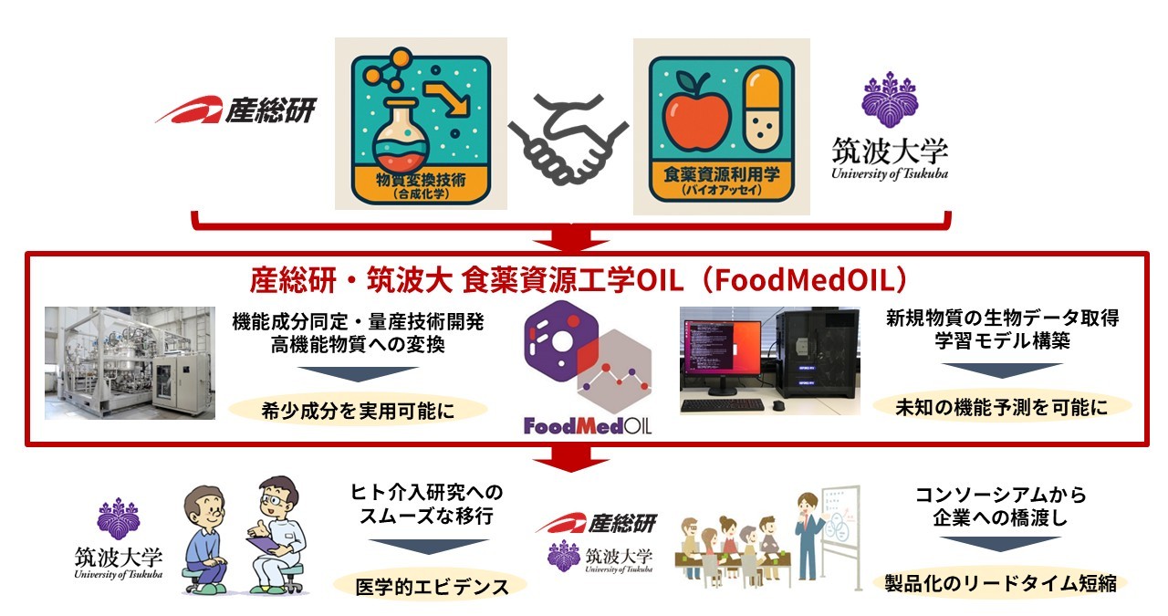 FoodMed-OILについて