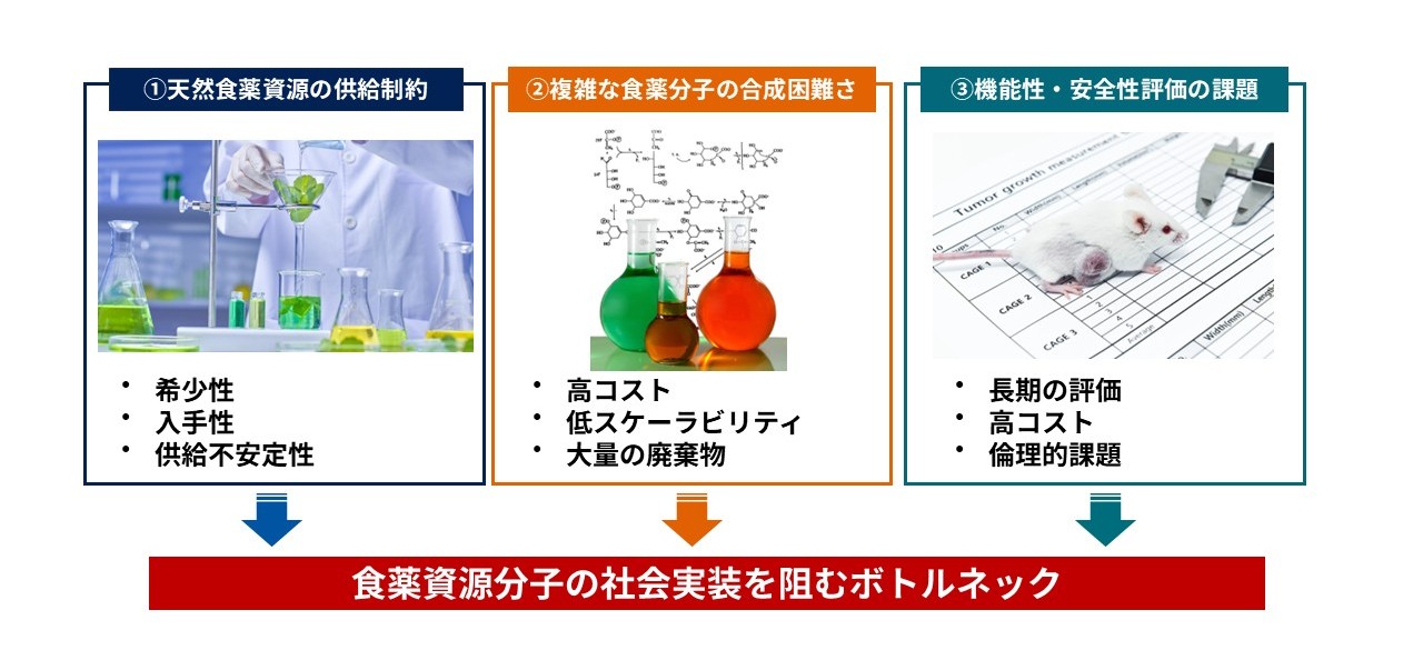 FoodMed-OILについて