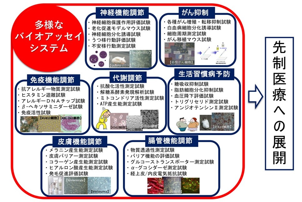 図