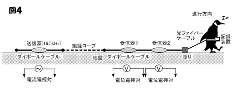 物理探査法の紹介　電気・電磁探査法【光畑 裕司】