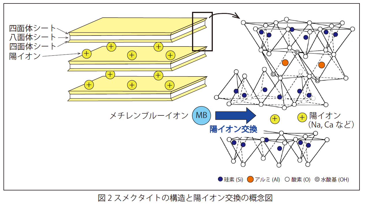 スメクタイトの構造と陽イオン交換の概念図