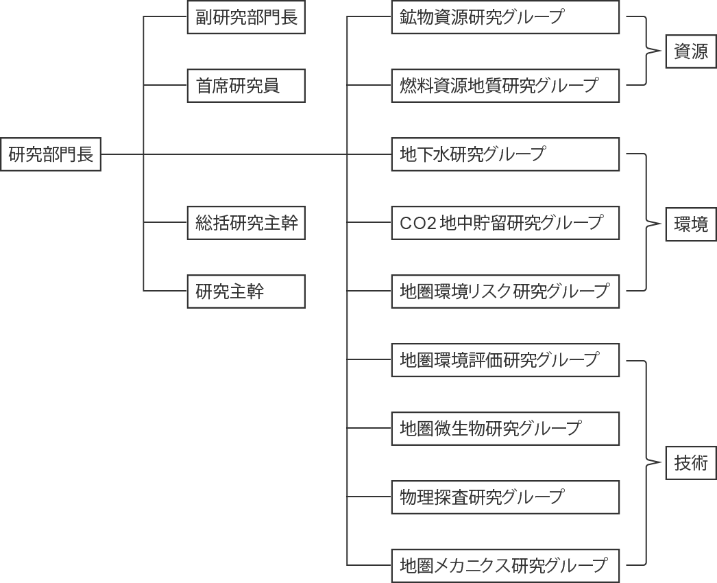 組織概要（組織図）：図