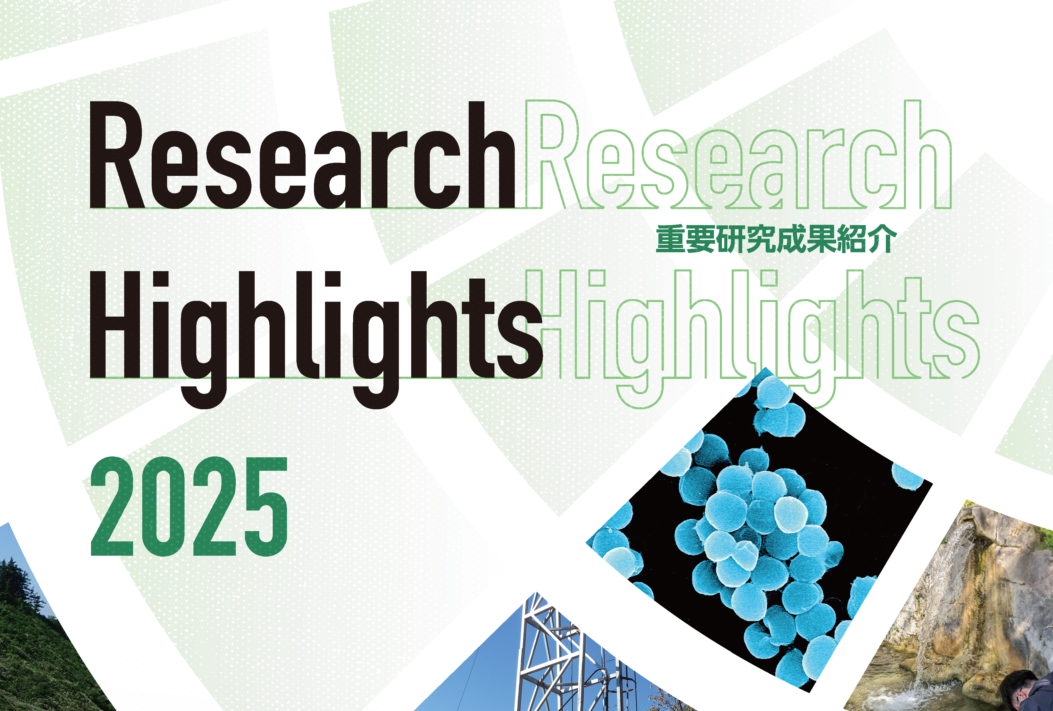 タイトル：ResearchHighlights