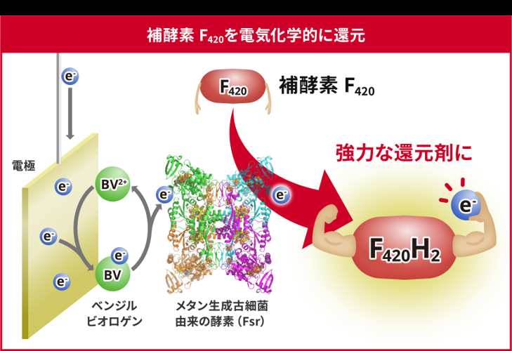 F420：イメージ