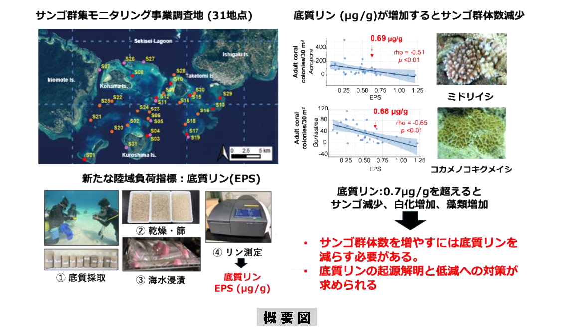 サンゴ保全のカギは陸域対策？：イメージ