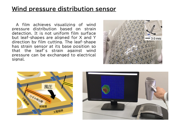 Wind pressure distribution sensor
