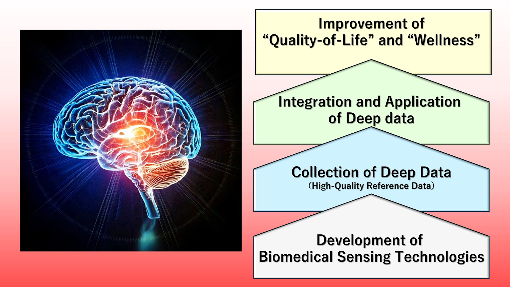 Conceptual Diagram
