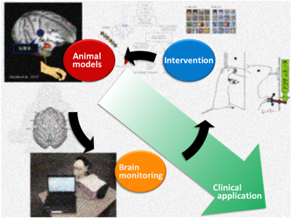 This figure shows the research concept of Neurorehabilitation Research Group. The cyclic cooperation among basic brain research using animal models and developments of both evaluation and intervention technologies contributes to the clinical applications.