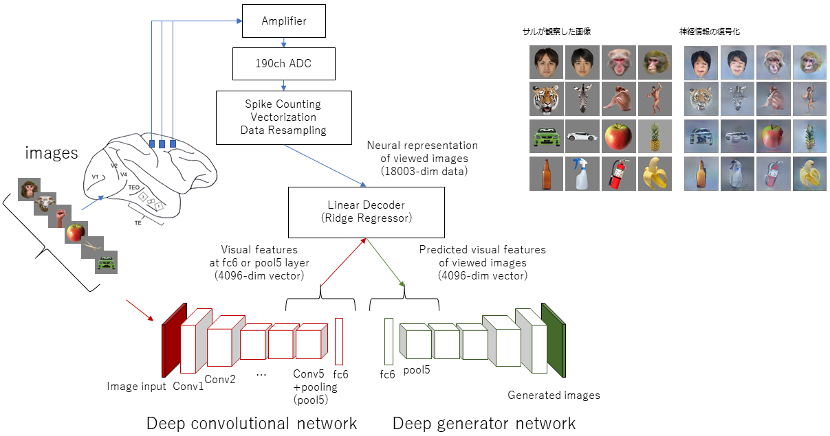 figure:The research concept of Artificial Intelligence and Brain Machine Interface