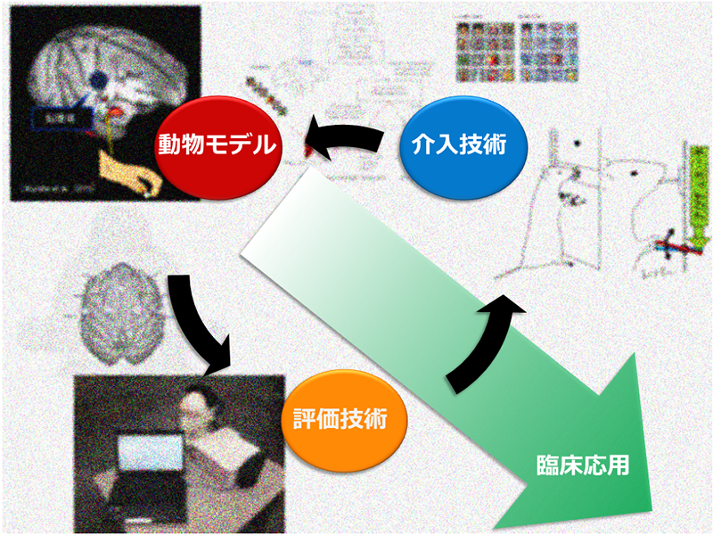 図：ニューロリハビリテーション研究グループの研究概念図