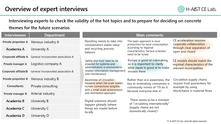 Overview of expert interviews
