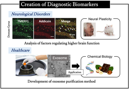 Molecular Composite Physiology RG_AIST_HMRI:Health And Medical Research ...