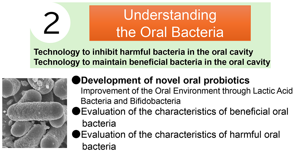 understanding the oral bacteria