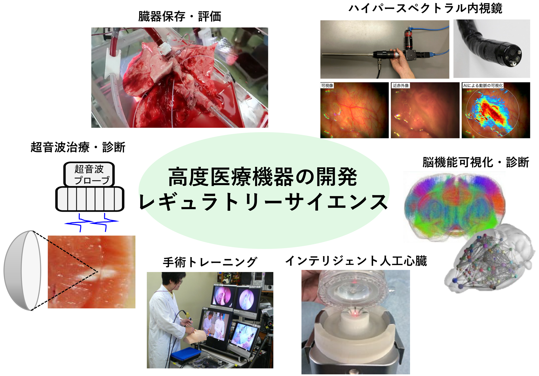 高度医療機器の開発,レギュラトリーサイエンス,臓器保存・評価,ハイパースペクトラル内視鏡,超音波治療・診断,脳機能可視化・診断,手術トレーニング,インテリジェント人工心臓
