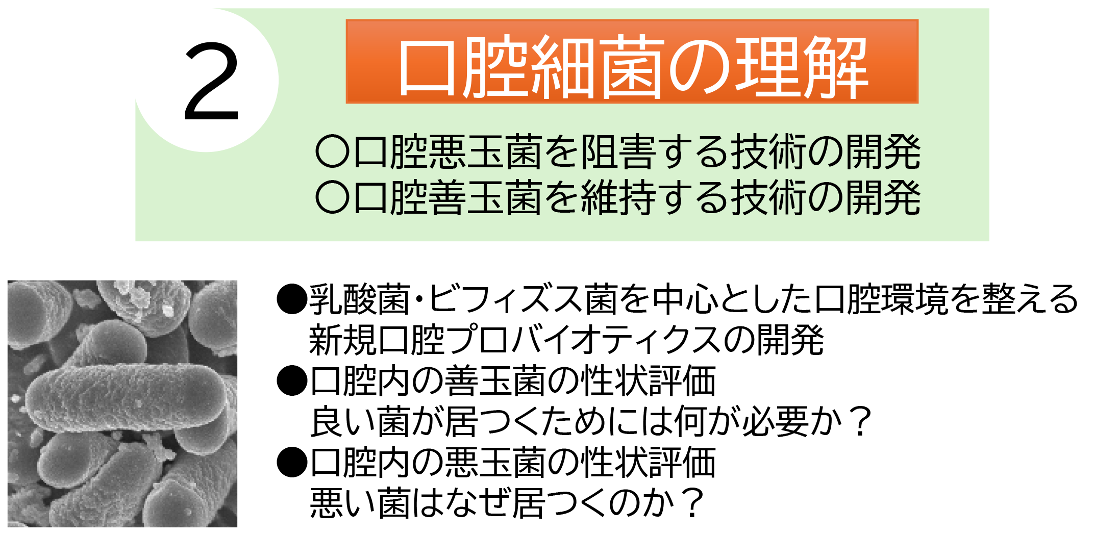 口腔細菌の理解