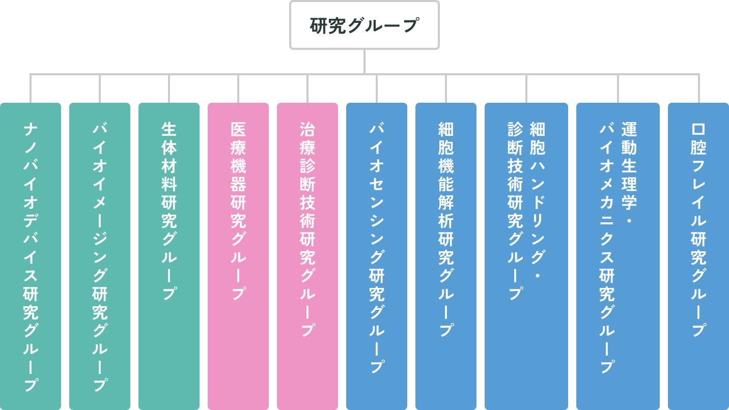 研究グループ / ナノバイオデバイス研究グループ / バイオイメージング研究グループ / 生体材料研究グループ / 医療機器研究グループ / 治療診断技術研究グループ / バイオセンシング研究グループ / 細胞機能解析研究グループ / 細胞ハンドリング・診断技術研究グループ / 運動生理学・バイオメカニクス研究グループ / 口腔フレイル研究グループ