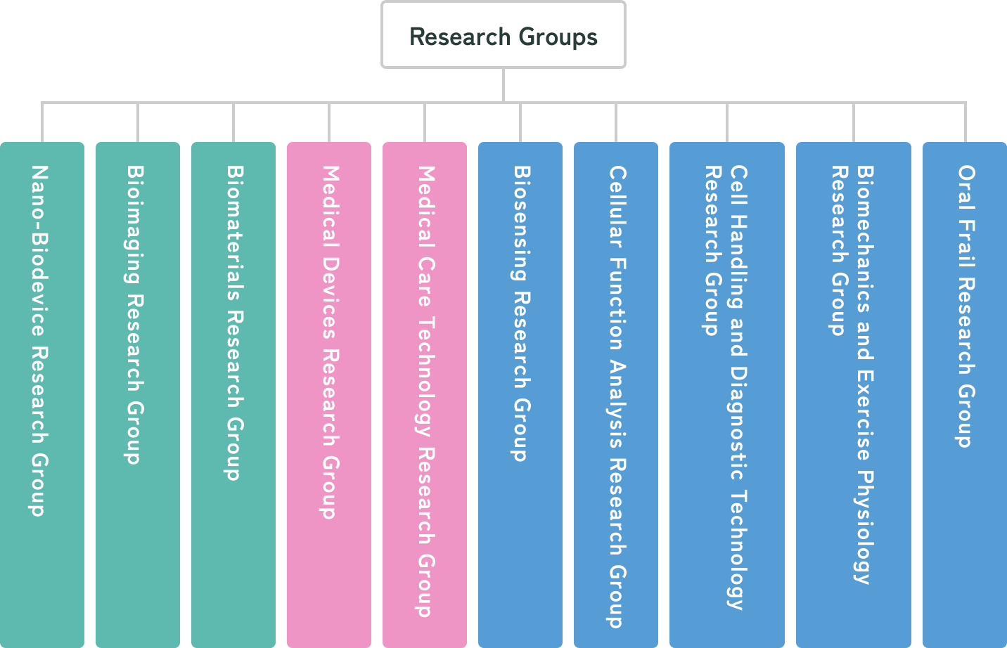 Nano-Biodevice Research Group, Bioimaging Research Group, Biomaterials Research Group, Medical Devices Research Group, Therapeutic Diagnostics Technology Research Group, Biosensing Research Group, Cell Function Analysis Research Group, Cell Handling & Diagnostics Technology Research Group, Exercise Physiology & Biomechanics Research Group, Oral Fracture Research Group