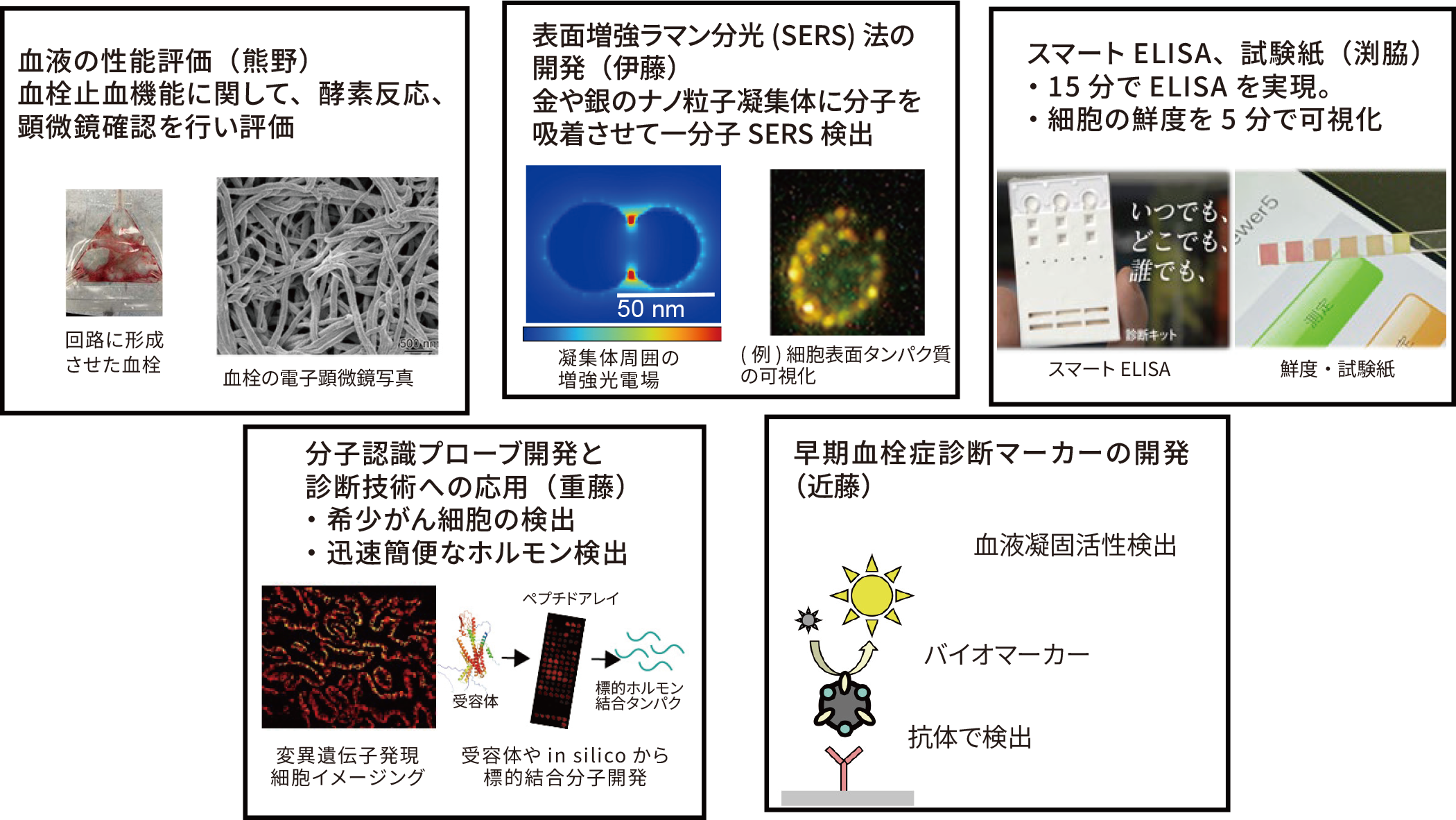 研究紹介