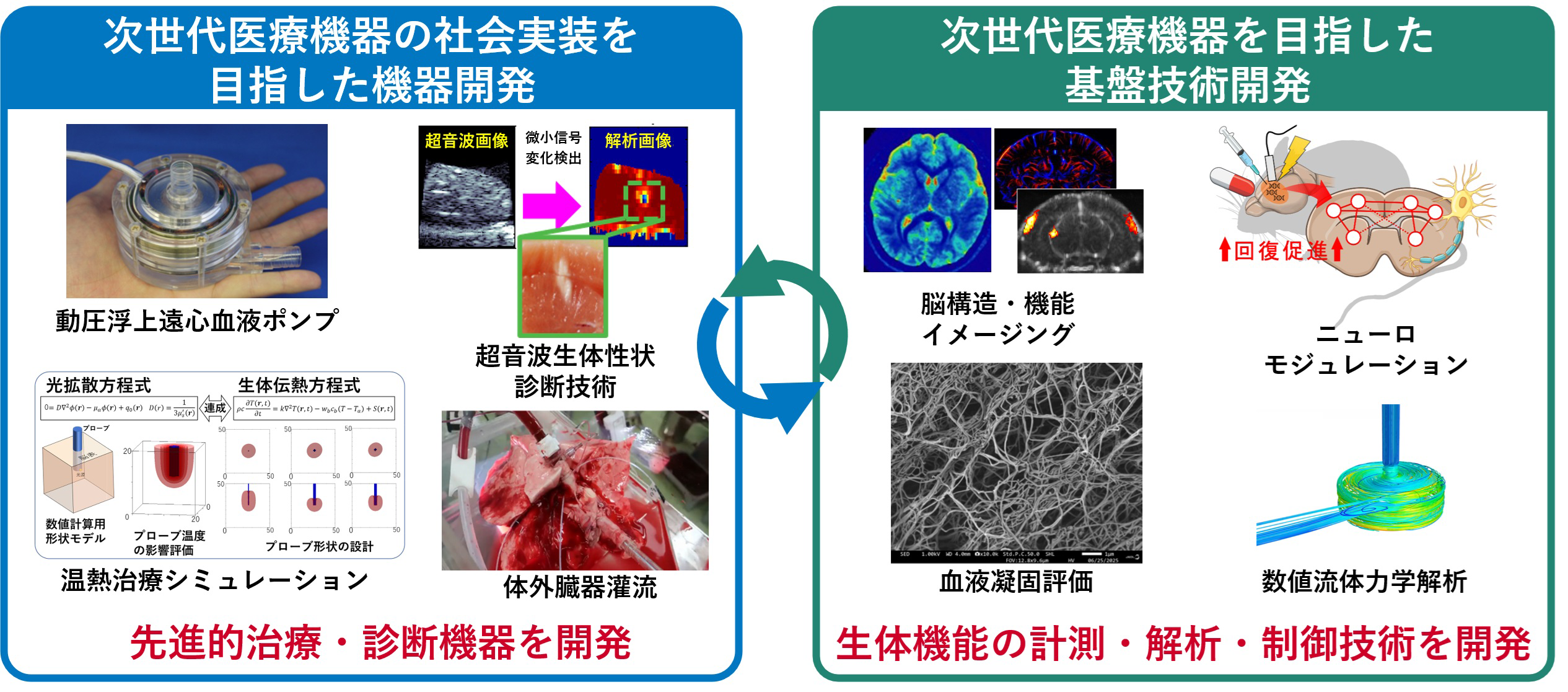 高度医療機器の開発,レギュラトリーサイエンス,臓器保存・評価,ハイパースペクトラル内視鏡,超音波治療・診断,脳機能可視化・診断,手術トレーニング,インテリジェント人工心臓