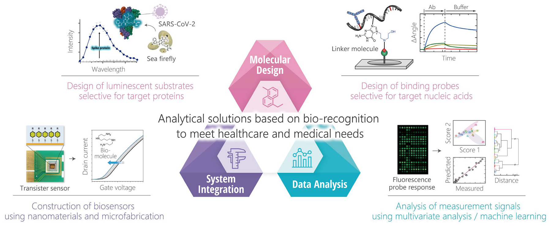 Analytical solutions based on bio-recognition to meet healthcare and medical needs
