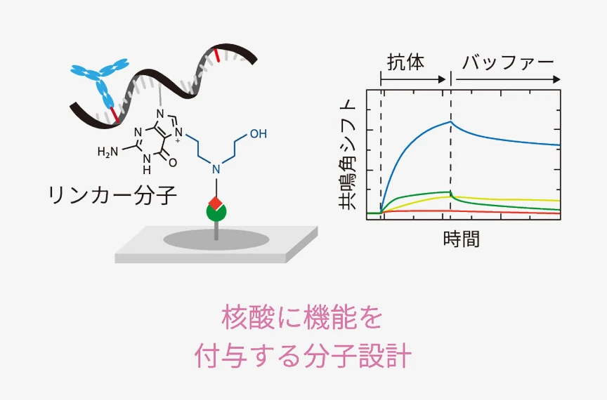 分子設計　ポンチ絵