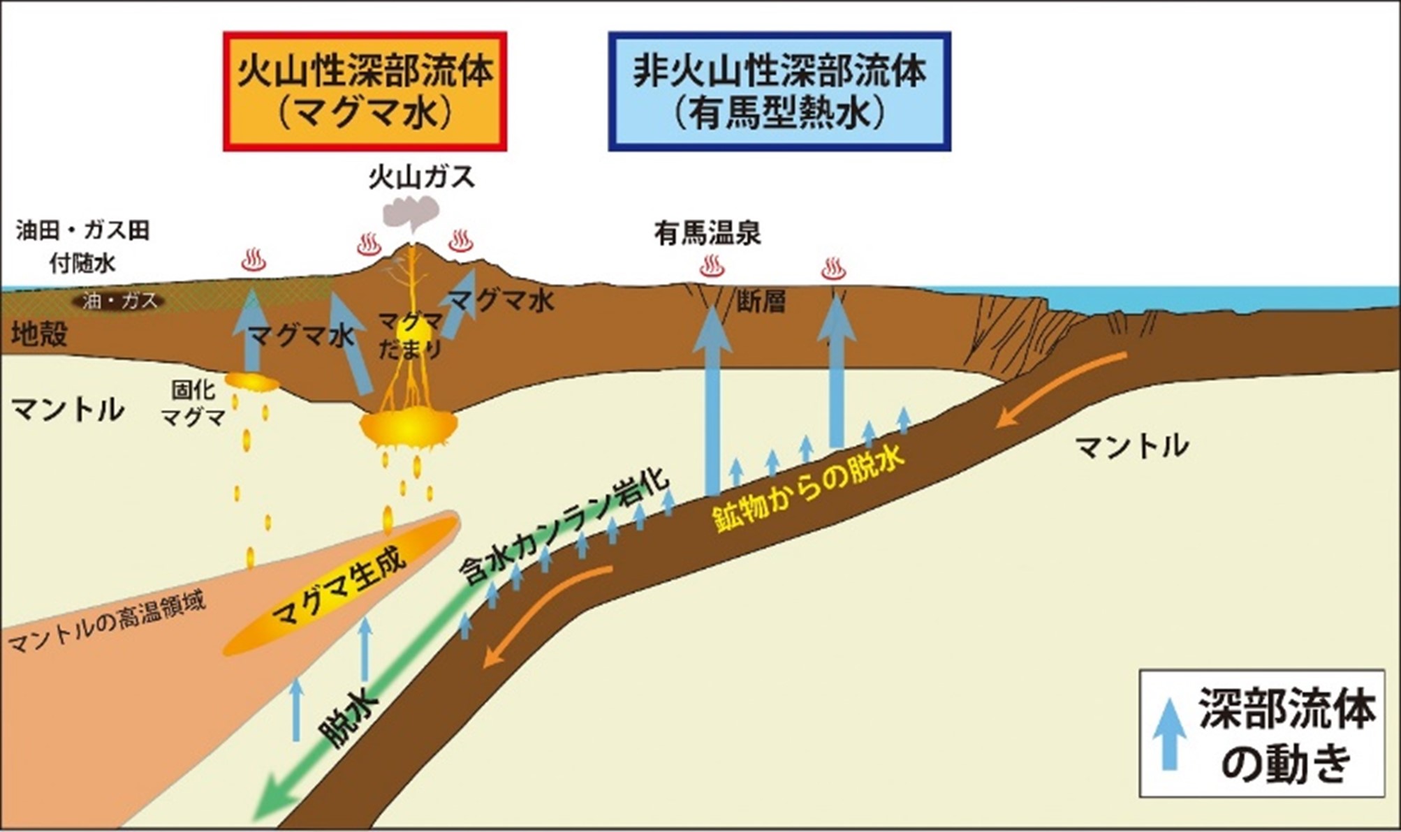 沈み込み帯における深部流体の動き