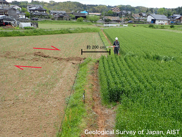 図2　2016年熊本地震で現れた地表地震断層．堂園集落の田畑に見られる右横ずれ変位