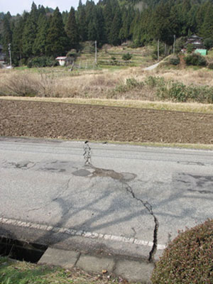 写真4　中野屋地区において県道を横切る地震断層．南西方向を見る．