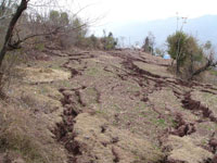 第13図　バンディ カリン ハイダール シャー断層崖頂部付近に発生した引張性地割れと建物被害．