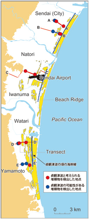図2．仙台平野で確認した津波堆積物の分布．