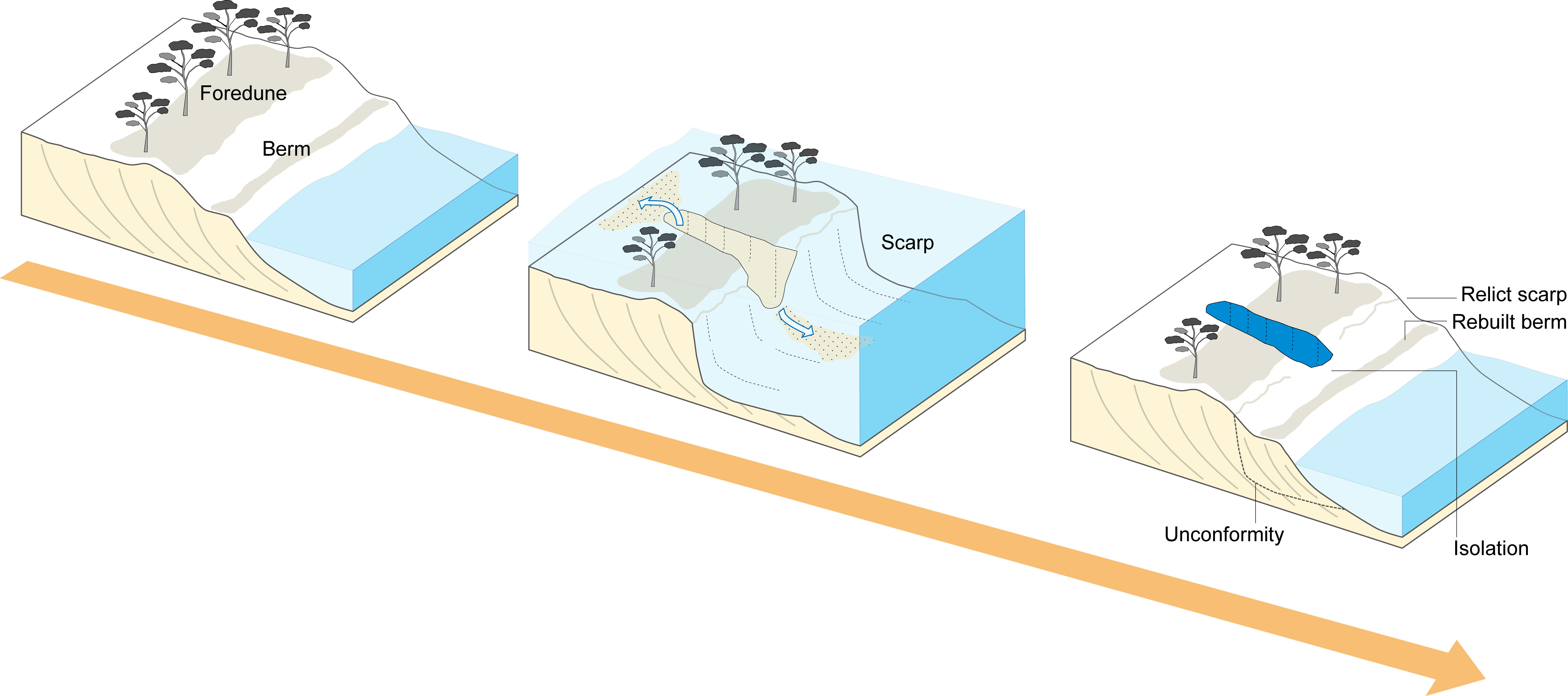 海岸浸食模式図