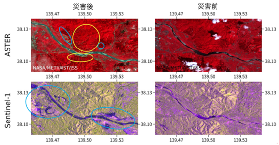 図３：災害前後の荒川下流域の衛星画像比較