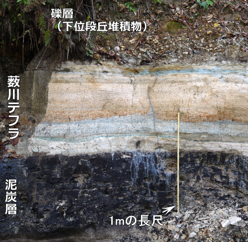 図5　外山川源流域で見出された後期チバニアン期の「薮川テフラ」